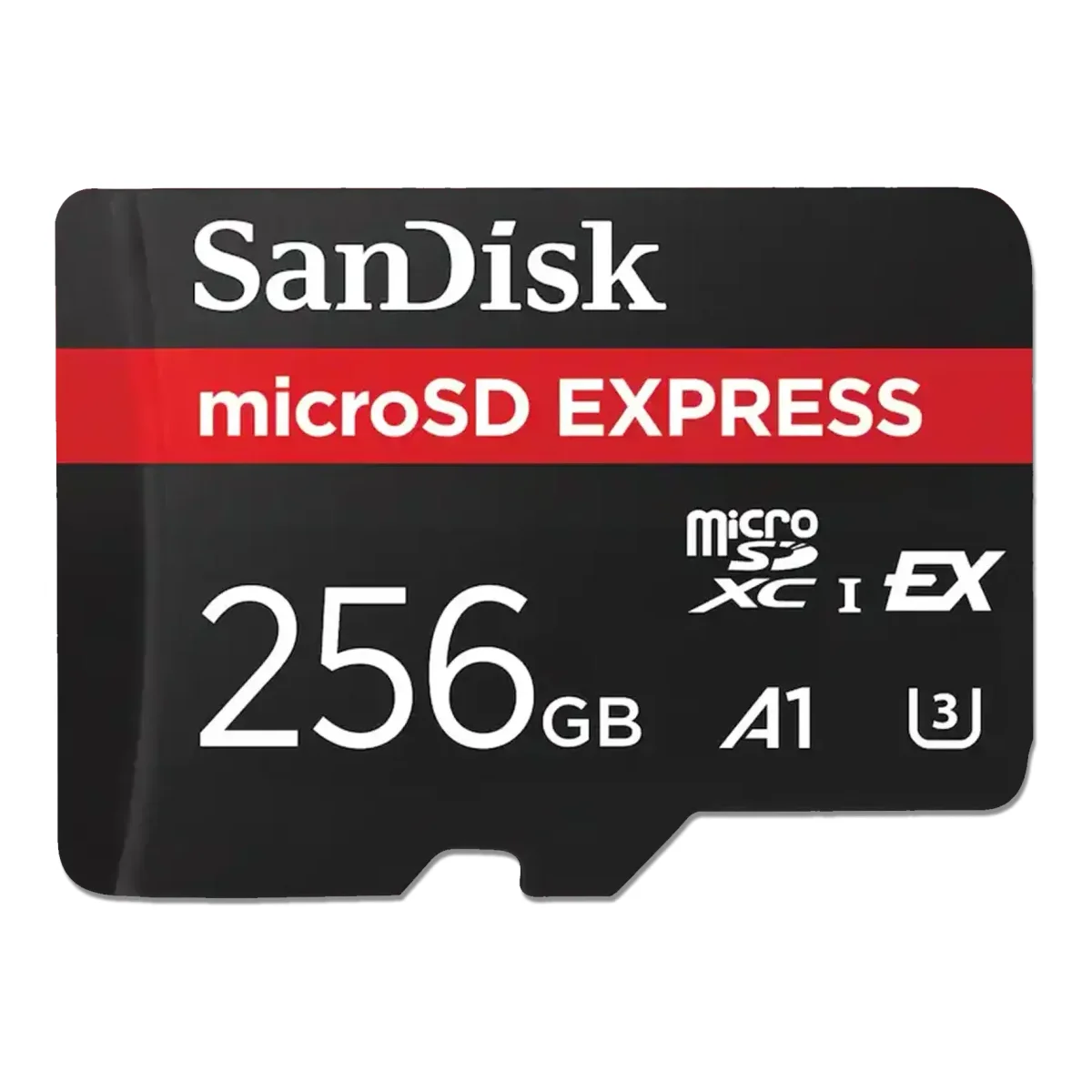 SANDISK 256 GB EXPRESS